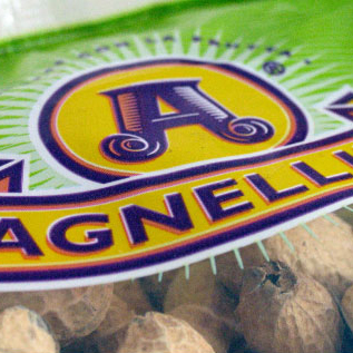 Agnellini