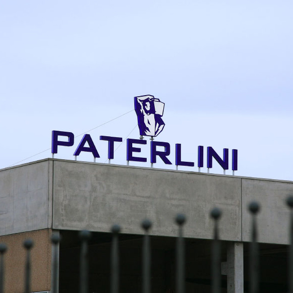 Paterlini