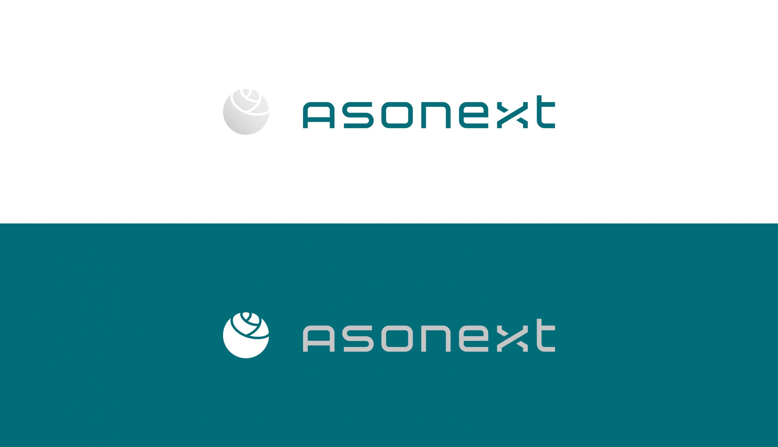 Raineri Asonext logo