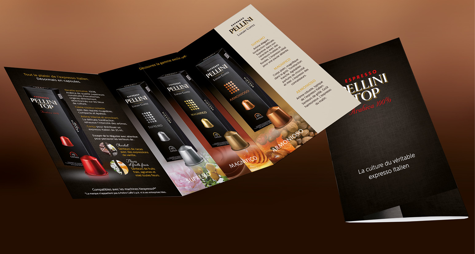 Raineri Pellini brochure